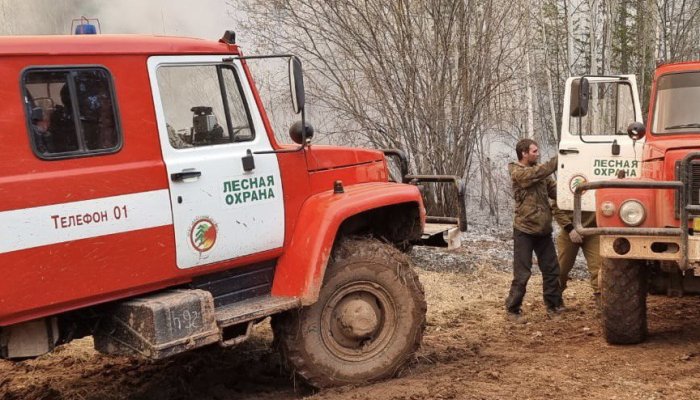 Два лесных пожара потушили за сутки в Приангарье