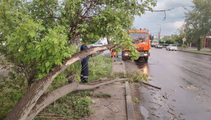 В Иркутске устраняют последствия ливня и сильного ветра