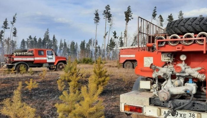 256 га леса горит в Иркутской области