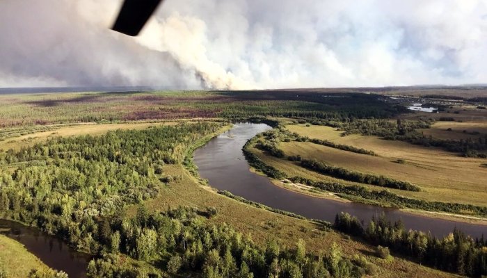 В лесах Приангарья за сутки потушили семь пожаров