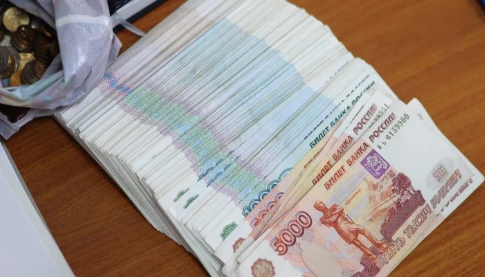 Житель Максимовщины потратил деньги, выданные ему на бизнес