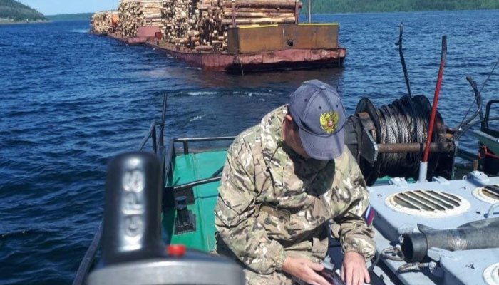 В Приангарье пройдет акция по проверке древесины «Посейдон»