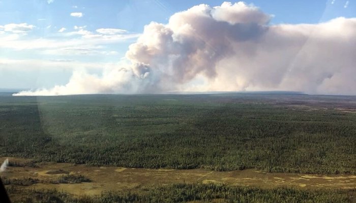 10 лесных пожаров потушили в Приангарье за выходные