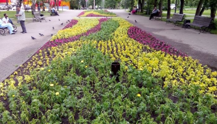 Иркутяне выкопали множество цветов с городских клумб