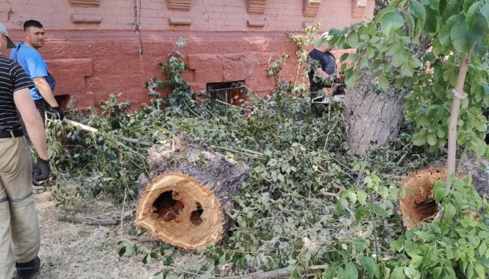 Сухие деревья валят в центре Иркутска