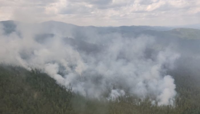 Восемь лесных пожаров потушили за сутки в Приангарье