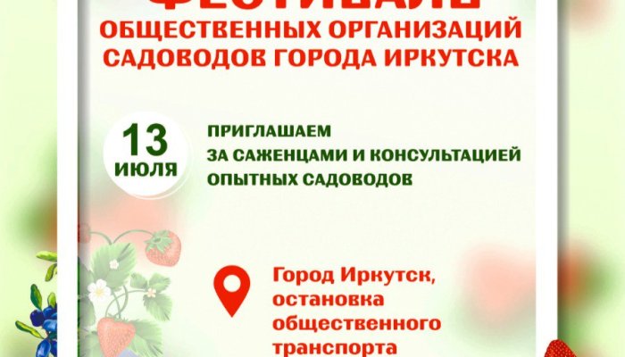 Фестиваль жимолости и земляники пройдет в Иркутске