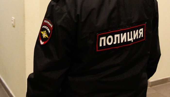 Полиция расследовала гибель котенка в Балаганском районе