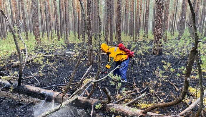 Четыре лесных пожара потушили в Приангарье за сутки