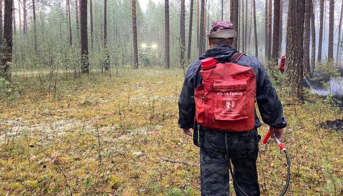 В Бодайбинском районе потушили крупный лесной пожар