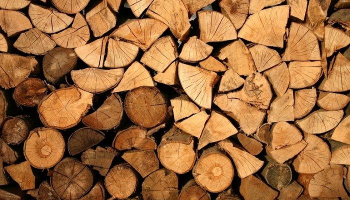 В Киренском районе Приангарья незаконно вырубили лес на 69 млн рублей