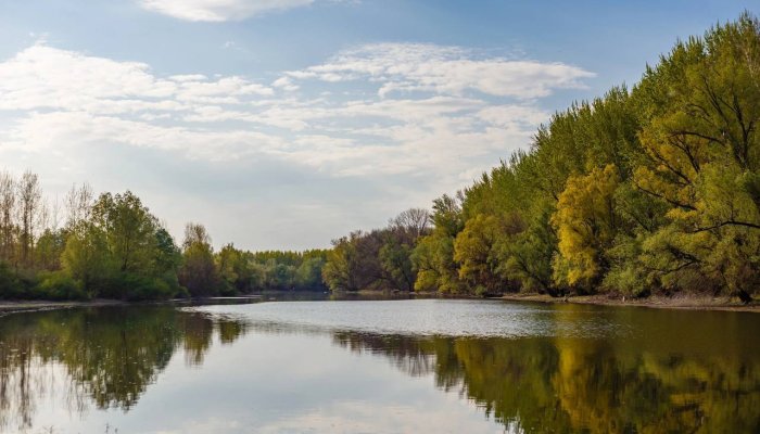 Роспотребнадзор: Нельзя купаться в самых популярных местах Иркутска и в Листвянке