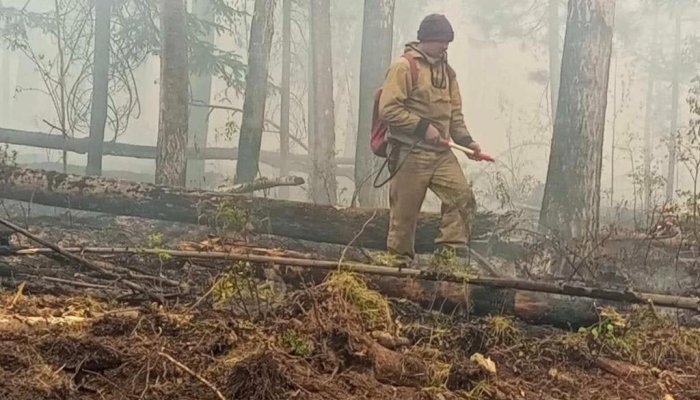 Четыре лесных пожара потушили за сутки в Приангарье