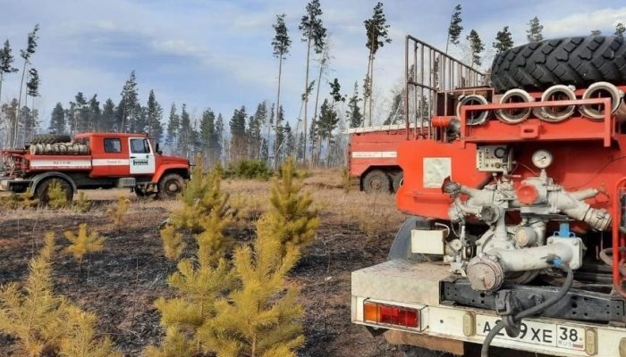 Три лесных пожара потушили в Приангарье за прошедшие сутки
