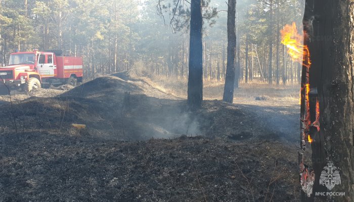 В северных районах Приангарья продлен особый противопожарный режим