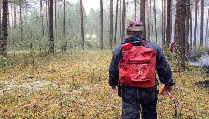 Четыре лесных пожара потушили за сутки в Приангарье