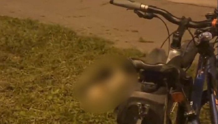 В Ангарске хозяин выбросил собаку с четвертого этажа