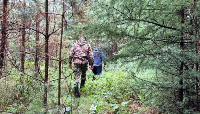 Двух сборщиков ягод ищут в Братском районе