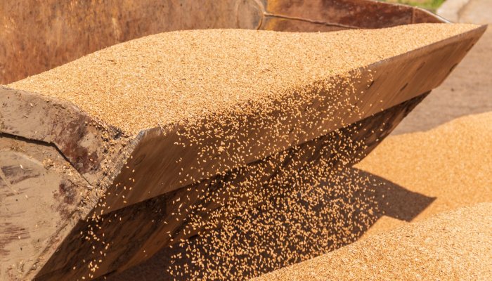 В Приангарье на 6% увеличился экспорт продукции АПК