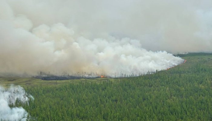 Восемь лесных пожаров потушили за сутки в Приангарье
