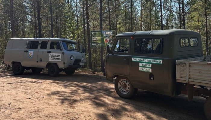 Пять лесных пожаров потушили в прошедшие сутки в Приангарье