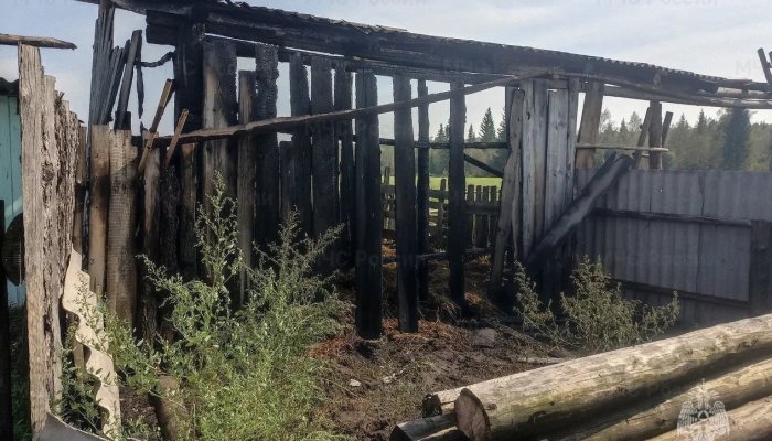 В Тулунском районе дети, играя со спичками, устроили пожар