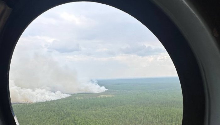 Пять пожаров потушили 19 августа в лесах Приангарья