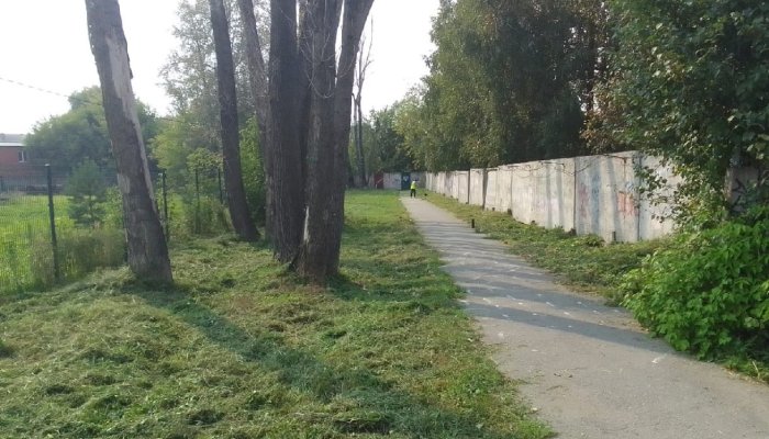 Покос озелененных территорий прошел в Октябрьском округе Иркутска