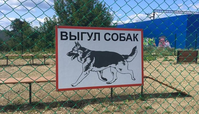 В Иркутске временно закрыли площадку для выгула собак в Солнечном
