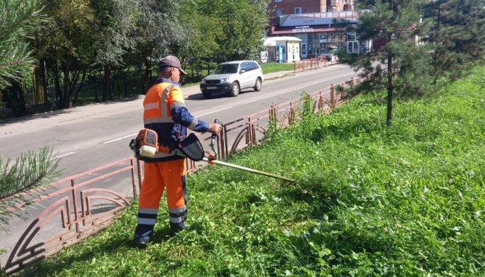 В минувшие выходные в Иркутске прошел покос травы
