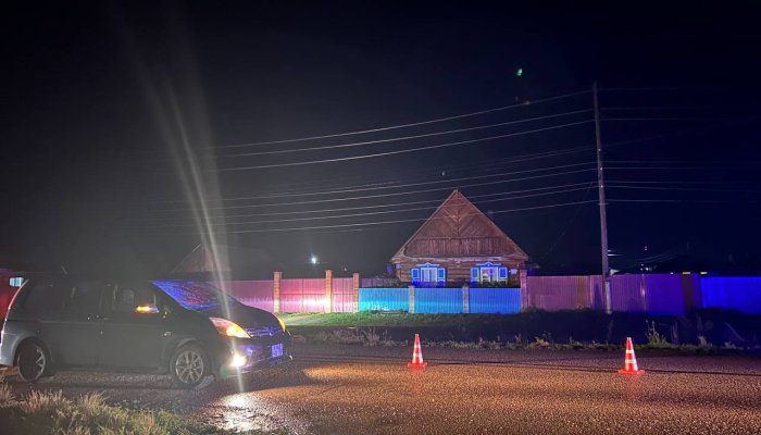 В Усть-Ордынском женщина сбила пожилого пешехода