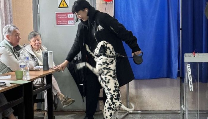 Явка на муниципальных выборах в Приангарье составляет 15,61%