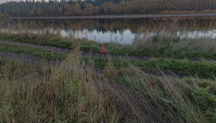 В Тайшетском районе женщина погибла в ДТП