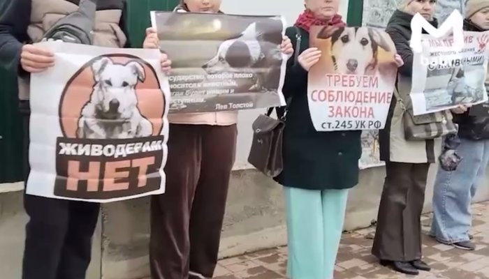 Иркутяне собрались на митинге против живодеров