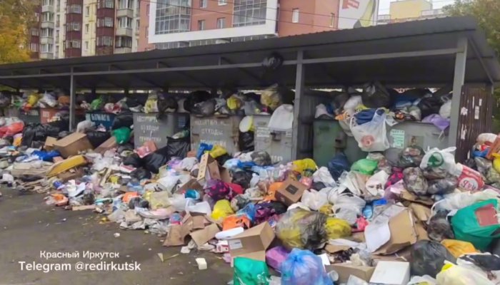 Останки животных нашли в мусорке в Ново-Ленино