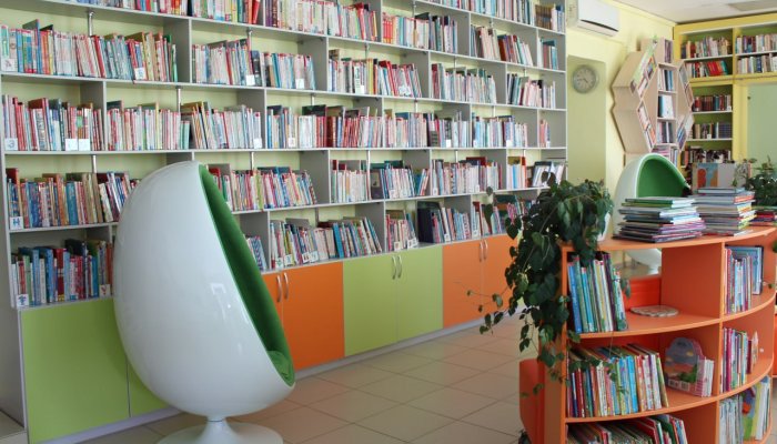 В Тайшете и Бельске  открылись модельные библиотеки
