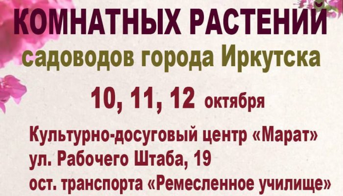 В Иркутске пройдет выставка комнатных растений
