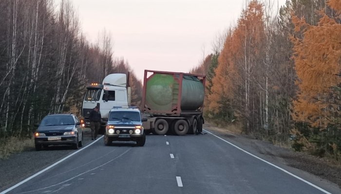 Водитель сбил медведя в Усть-Илимске и спровоцировал еще одно ДТП