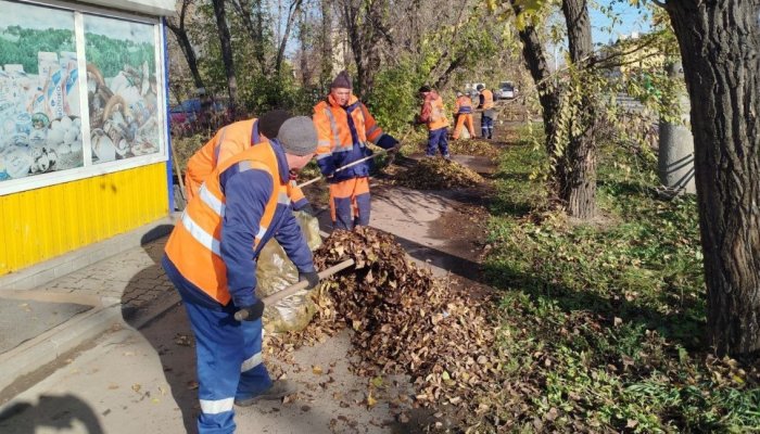 Улицы Иркутска в усиленном режиме очищают от листвы