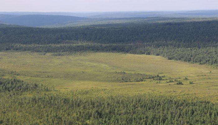 В Приангарье началась подготовка к пожароопасному сезону 2025 года