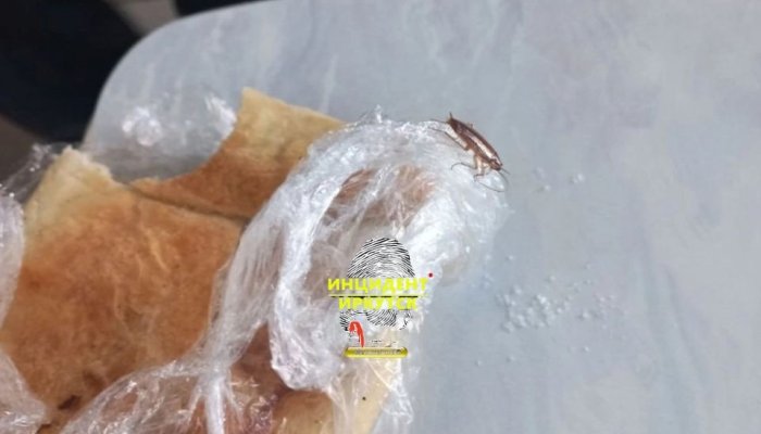 В столовой технологического колледжа Иркутска тараканы ползают прямо по еде (Видео)