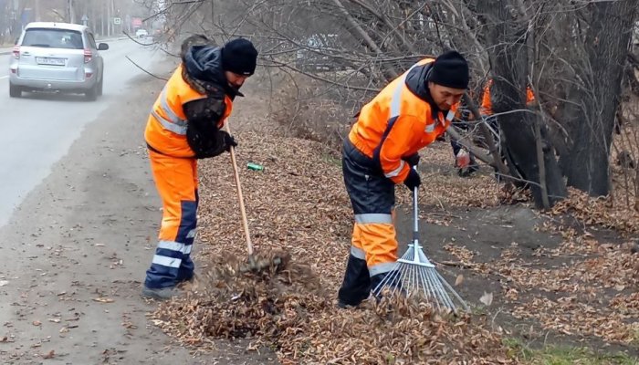 На выходных улицы Иркутска очищали листвы и мусора