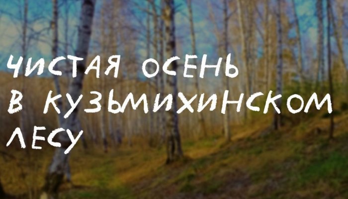 Иркутян приглашают на арт-субботник