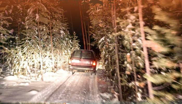 На Ольхоне госинспекторы задержали иркутян, убивших двух благородных оленей