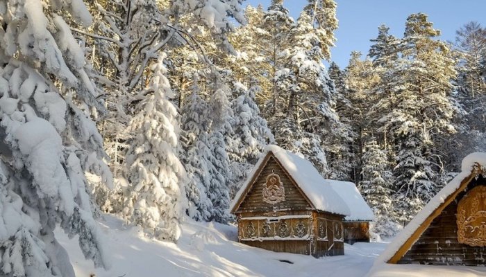 В Иркутской области пройдет фотоконкурс «Берегите лесную красавицу»