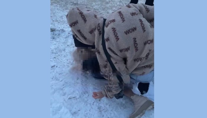 Девушку избили на Синюшке в Иркутске (Видео)