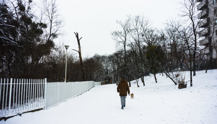 Морозы до -38° придут в Сибирь в начале декабря