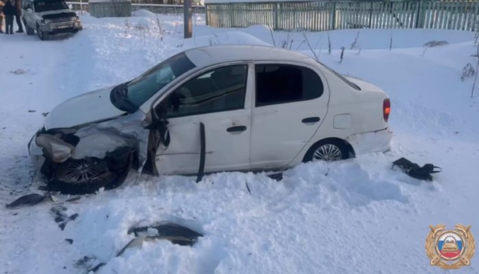 В Нижнеилимском районе из-за нетрезвого водителя три человека пострадали в ДТП (Видео)