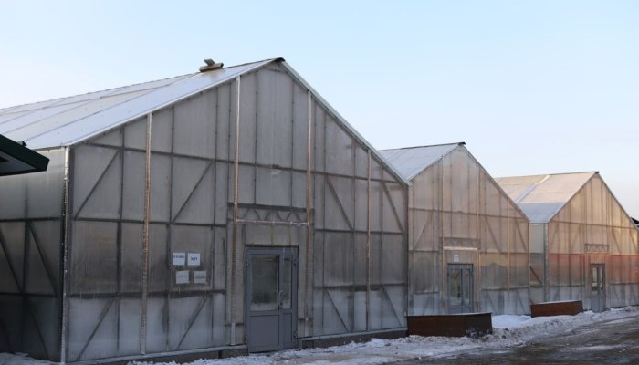 Девять новых теплиц установили в иркутском «Горзеленхозе»