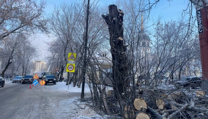 В Иркутске сносят аварийные деревья